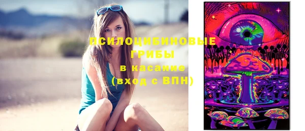 дживик Краснотурьинск