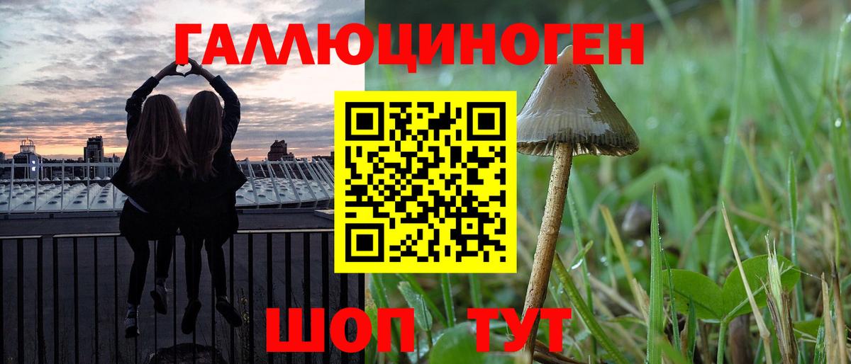 Орск  Галлюциногенные грибы Psilocybe  Вход с VPN 