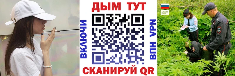 продажа наркотиков  Орск  гидра как войти  Бошки Шишки планчик 